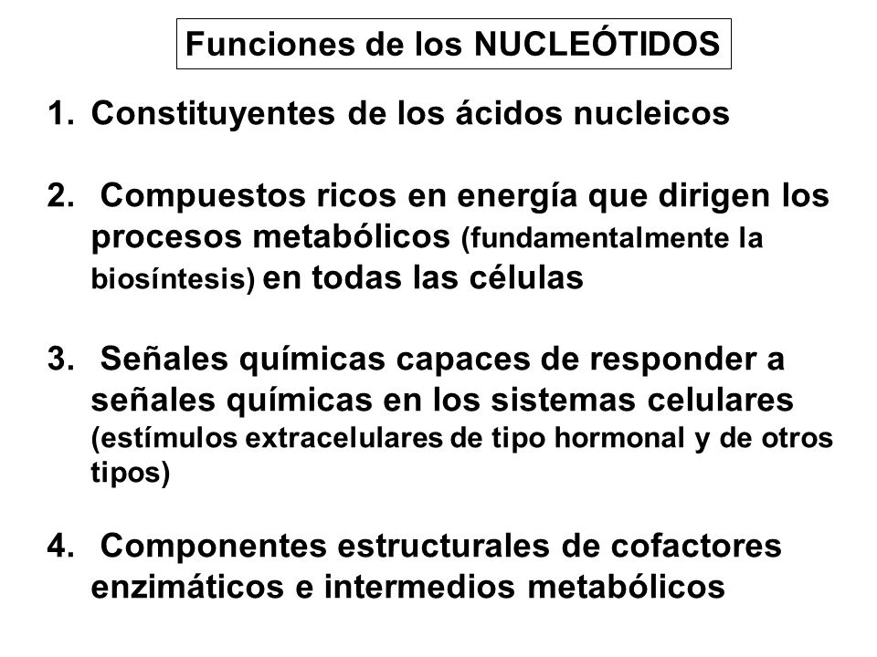 Funciones de los NUCLEÓTIDOS