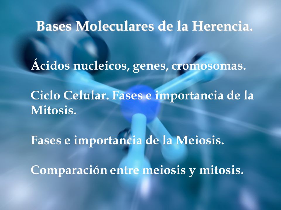 Bases Moleculares de la Herencia.