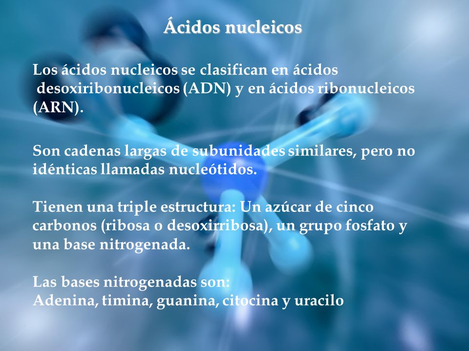 Ácidos nucleicos Los ácidos nucleicos se clasifican en ácidos