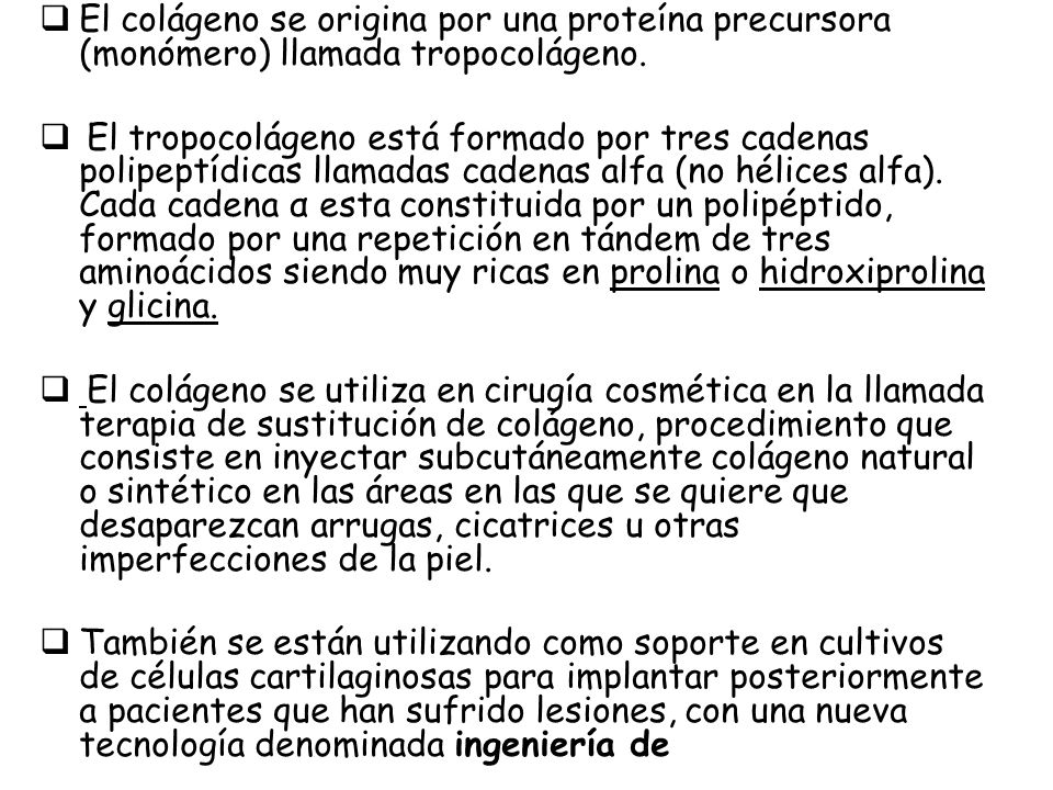 El colágeno se origina por una proteína precursora (monómero) llamada tropocolágeno.
