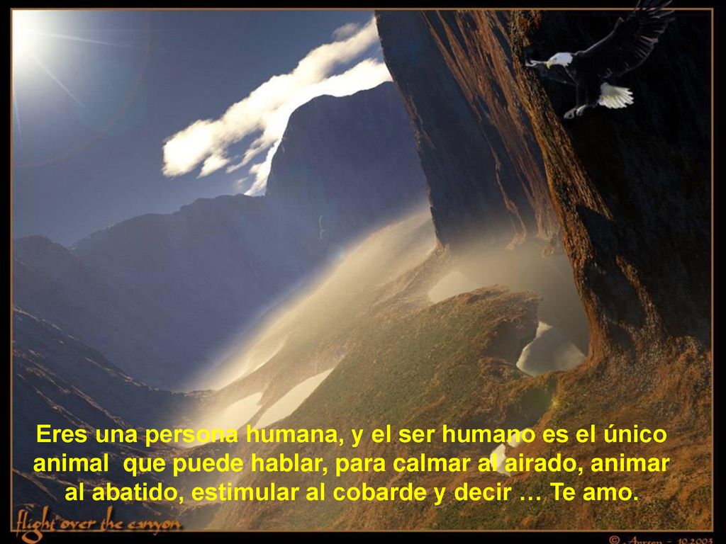 Eres una persona humana, y el ser humano es el único animal que puede hablar, para calmar al airado, animar al abatido, estimular al cobarde y decir … Te amo.