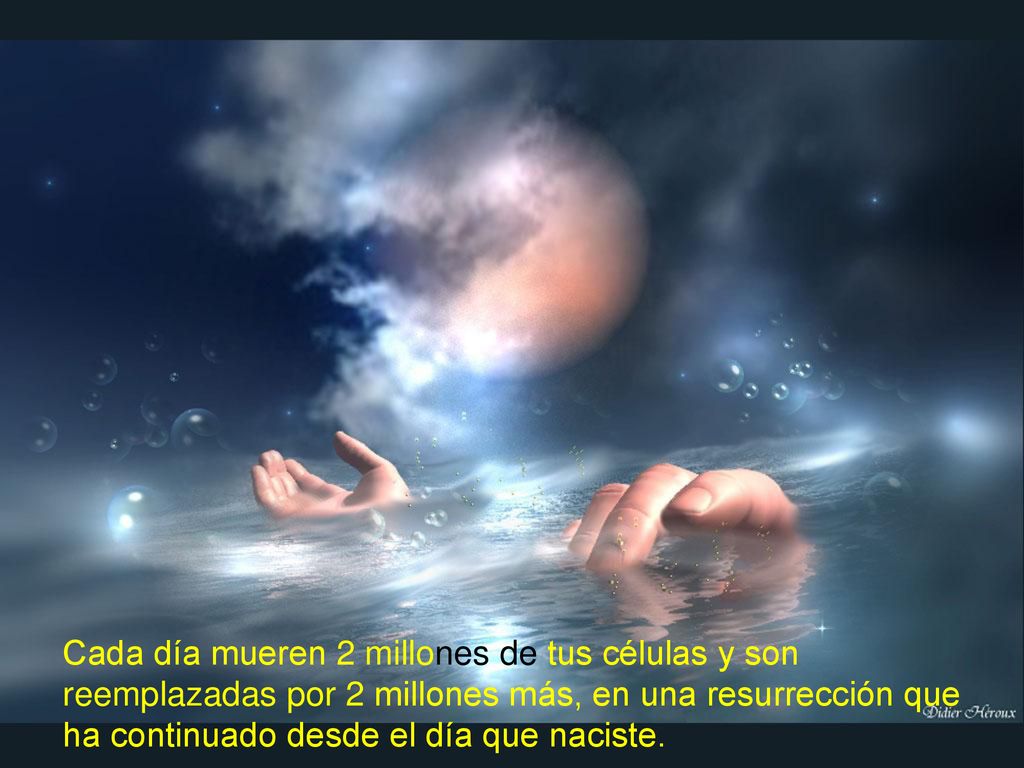 Cada día mueren 2 millones de tus células y son reemplazadas por 2 millones más, en una resurrección que ha continuado desde el día que naciste.