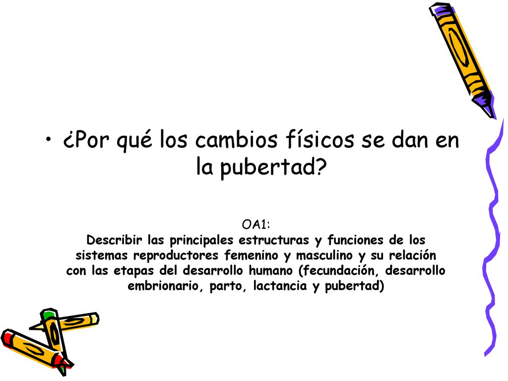 ¿Por qué los cambios físicos se dan en la pubertad