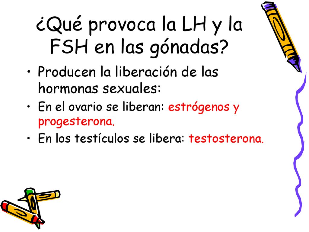 ¿Qué provoca la LH y la FSH en las gónadas