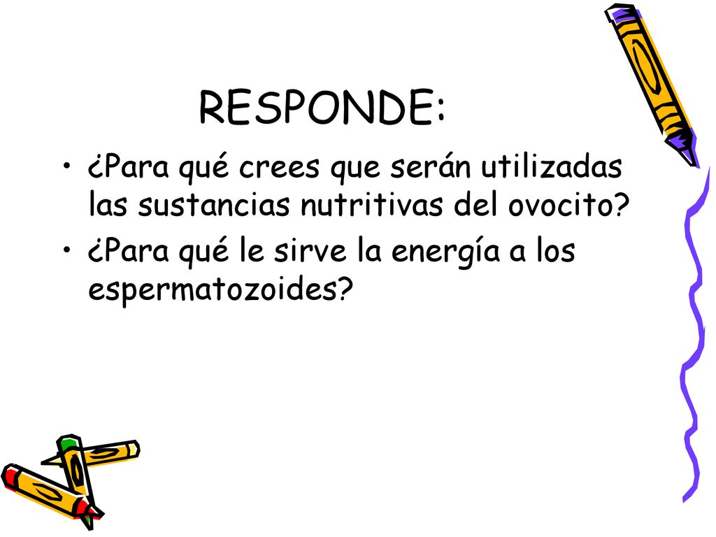 RESPONDE: ¿Para qué crees que serán utilizadas las sustancias nutritivas del ovocito.