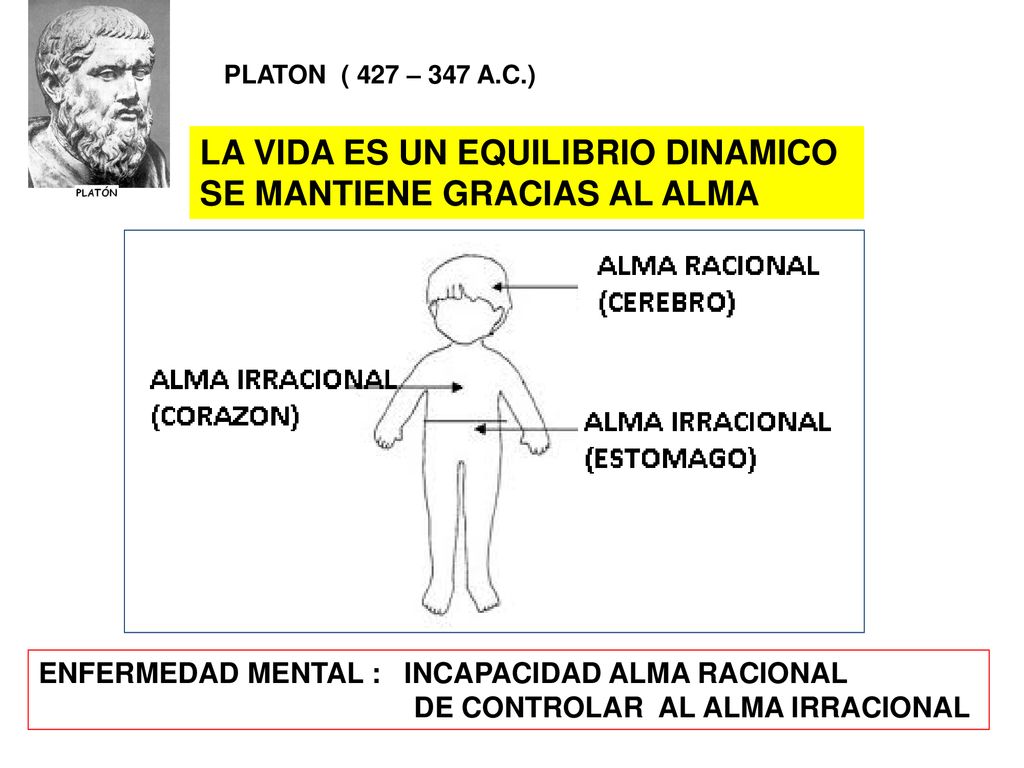 LA VIDA ES UN EQUILIBRIO DINAMICO SE MANTIENE GRACIAS AL ALMA