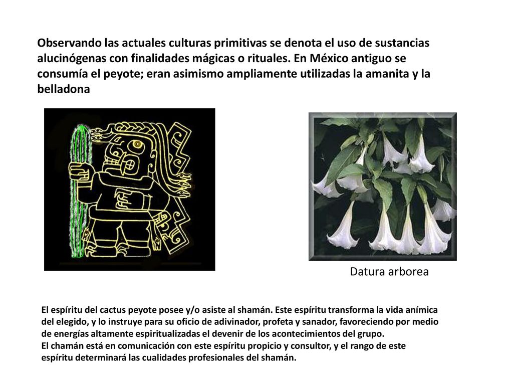 Observando las actuales culturas primitivas se denota el uso de sustancias alucinógenas con finalidades mágicas o rituales. En México antiguo se consumía el peyote; eran asimismo ampliamente utilizadas la amanita y la belladona