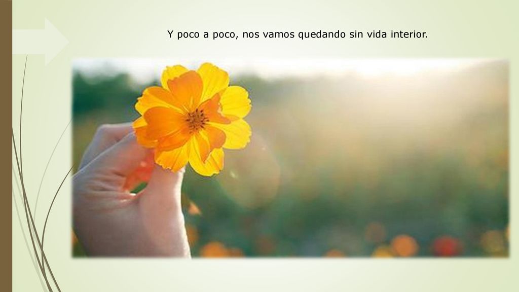 Y poco a poco, nos vamos quedando sin vida interior.
