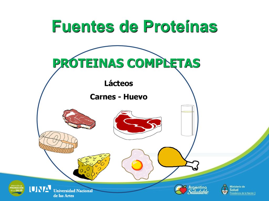 Fuentes de Proteínas PROTEINAS COMPLETAS Lácteos Carnes - Huevo