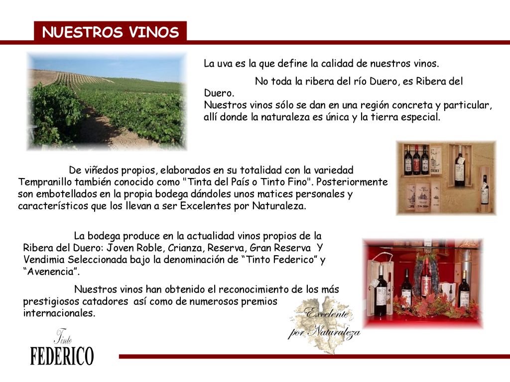 NUESTROS VINOS La uva es la que define la calidad de nuestros vinos.