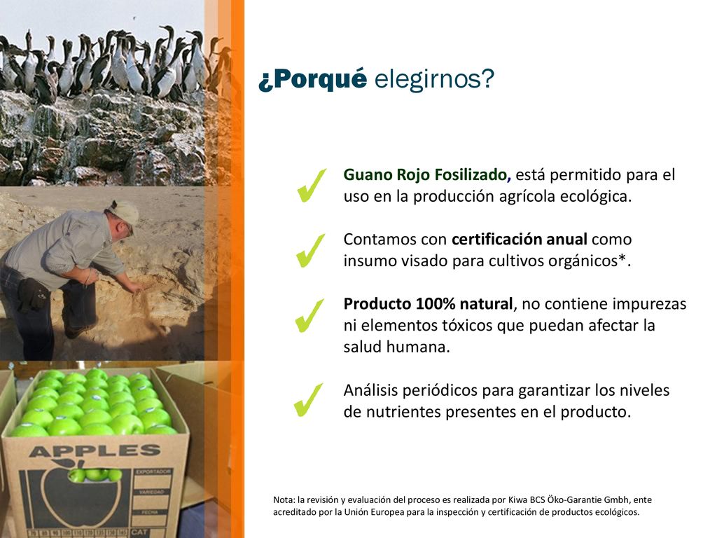 ¿Porqué elegirnos Guano Rojo Fosilizado, está permitido para el uso en la producción agrícola ecológica.