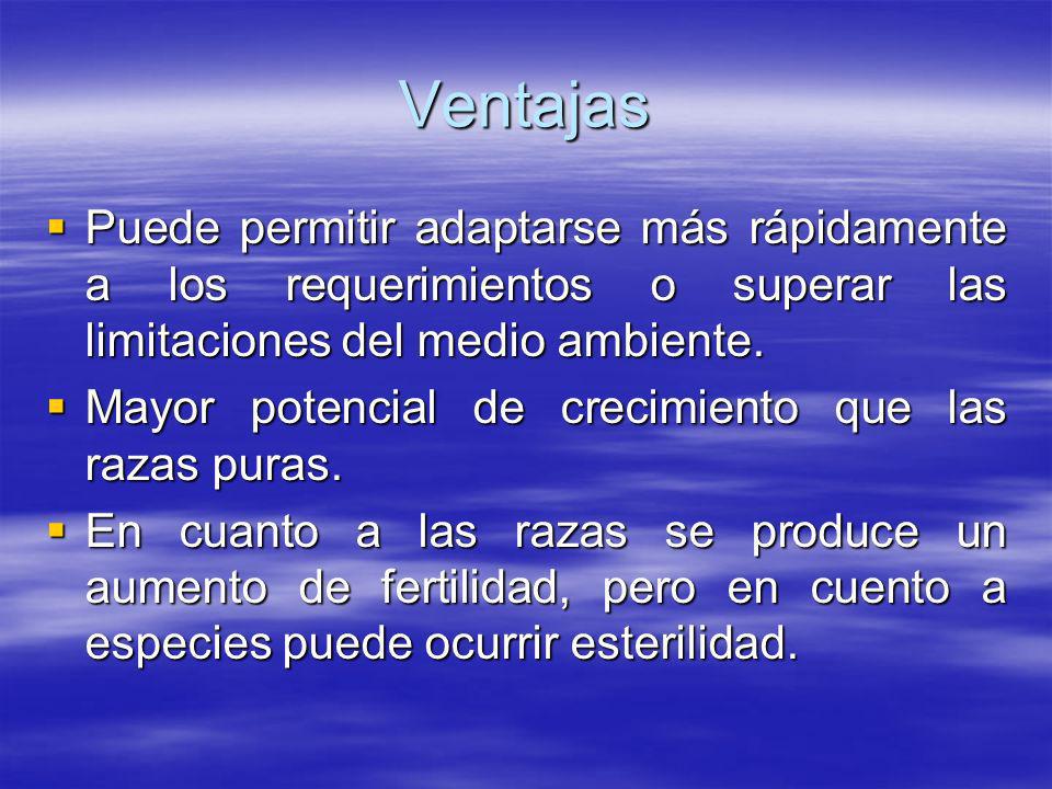 Ventajas Puede permitir adaptarse más rápidamente a los requerimientos o superar las limitaciones del medio ambiente.