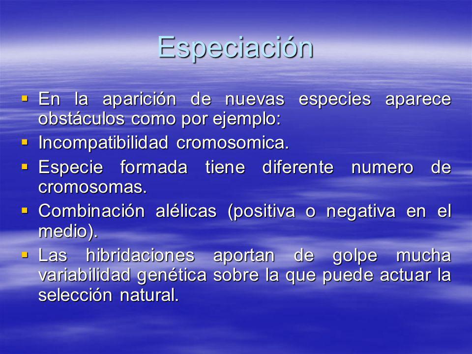 Especiación En la aparición de nuevas especies aparece obstáculos como por ejemplo: Incompatibilidad cromosomica.