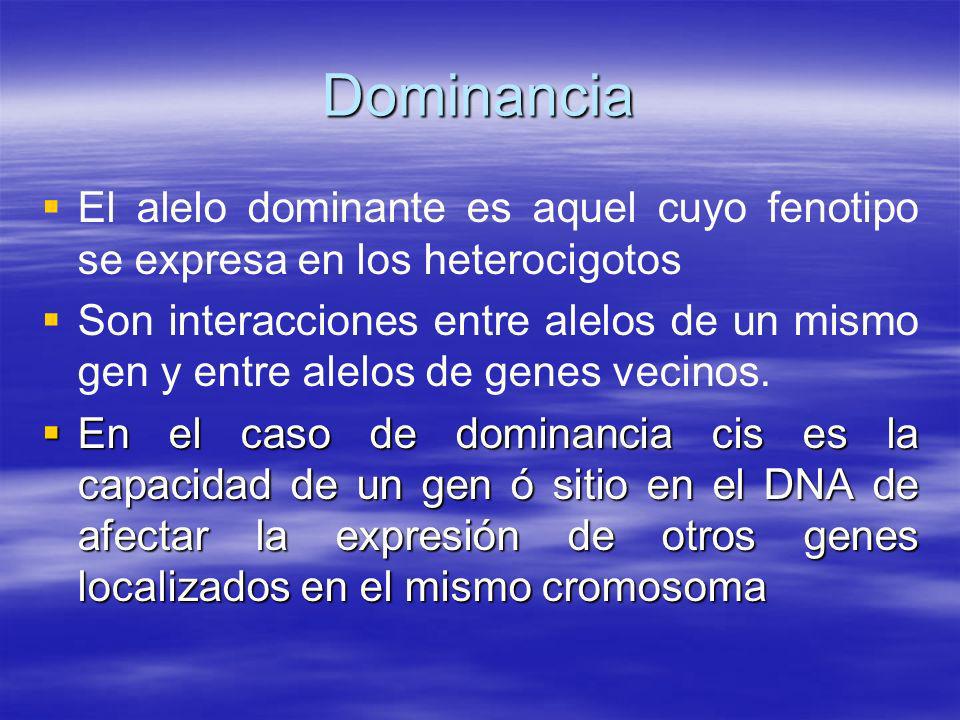 Dominancia El alelo dominante es aquel cuyo fenotipo se expresa en los heterocigotos.