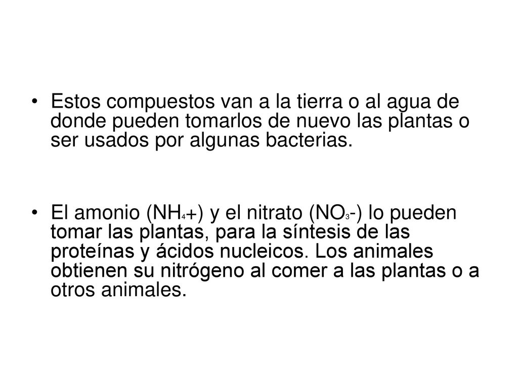 Estos compuestos van a la tierra o al agua de donde pueden tomarlos de nuevo las plantas o ser usados por algunas bacterias.