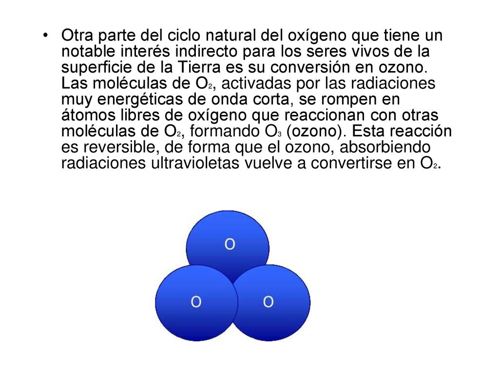 Otra parte del ciclo natural del oxígeno que tiene un notable interés indirecto para los seres vivos de la superficie de la Tierra es su conversión en ozono.