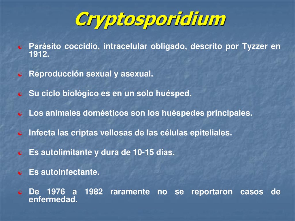 Cryptosporidium Parásito coccidio, intracelular obligado, descrito por Tyzzer en Reproducción sexual y asexual.