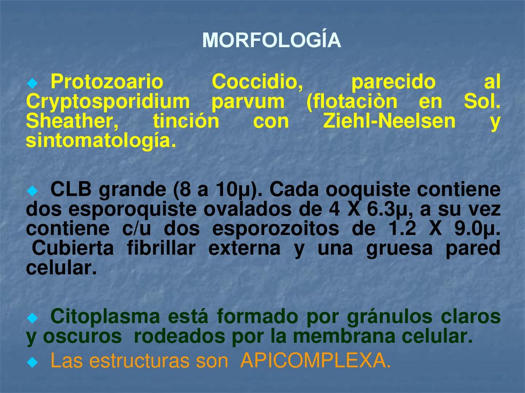 MORFOLOGÍA Protozoario Coccidio, parecido al Cryptosporidium parvum (flotaciòn en Sol. Sheather, tinción con Ziehl-Neelsen y sintomatología.