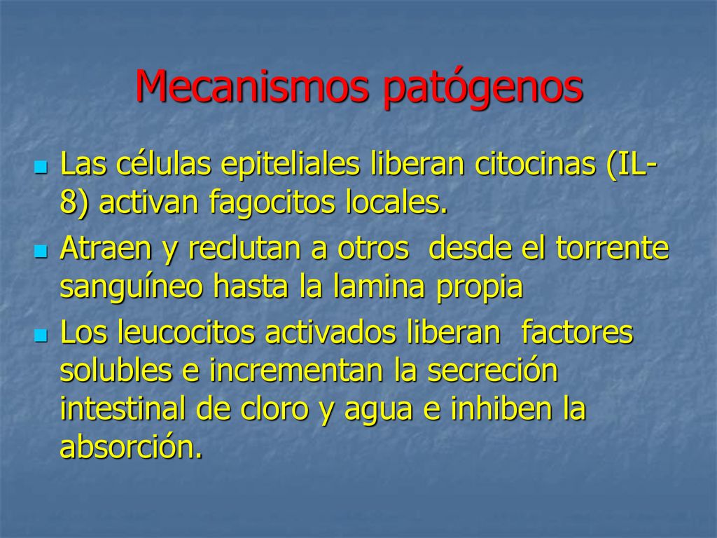 Mecanismos patógenos Las células epiteliales liberan citocinas (IL-8) activan fagocitos locales.