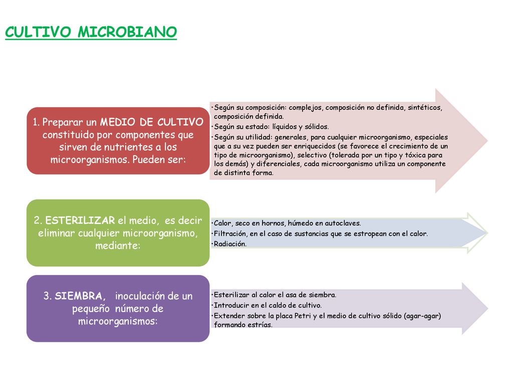 3. SIEMBRA, inoculación de un pequeño número de microorganismos: