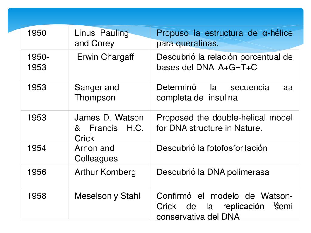 1950 Linus Pauling and Corey. Propuso la estructura de α-hélice para queratinas Erwin Chargaff.
