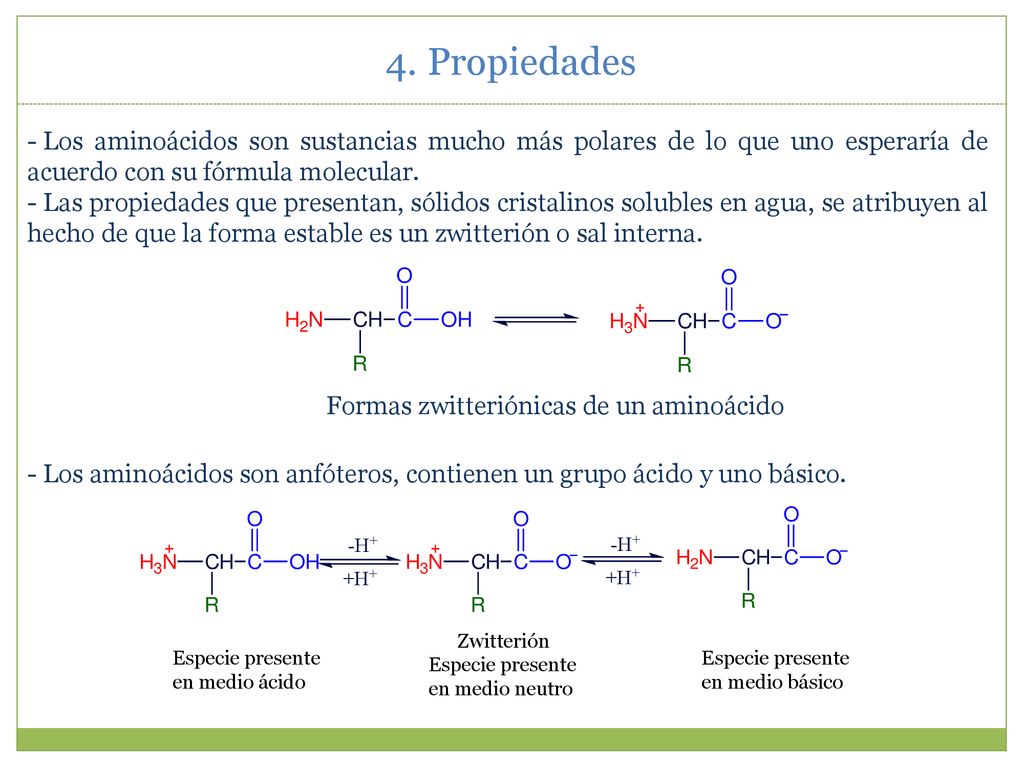 4. Propiedades Los aminoácidos son sustancias mucho más polares de lo que uno esperaría de acuerdo con su fórmula molecular.