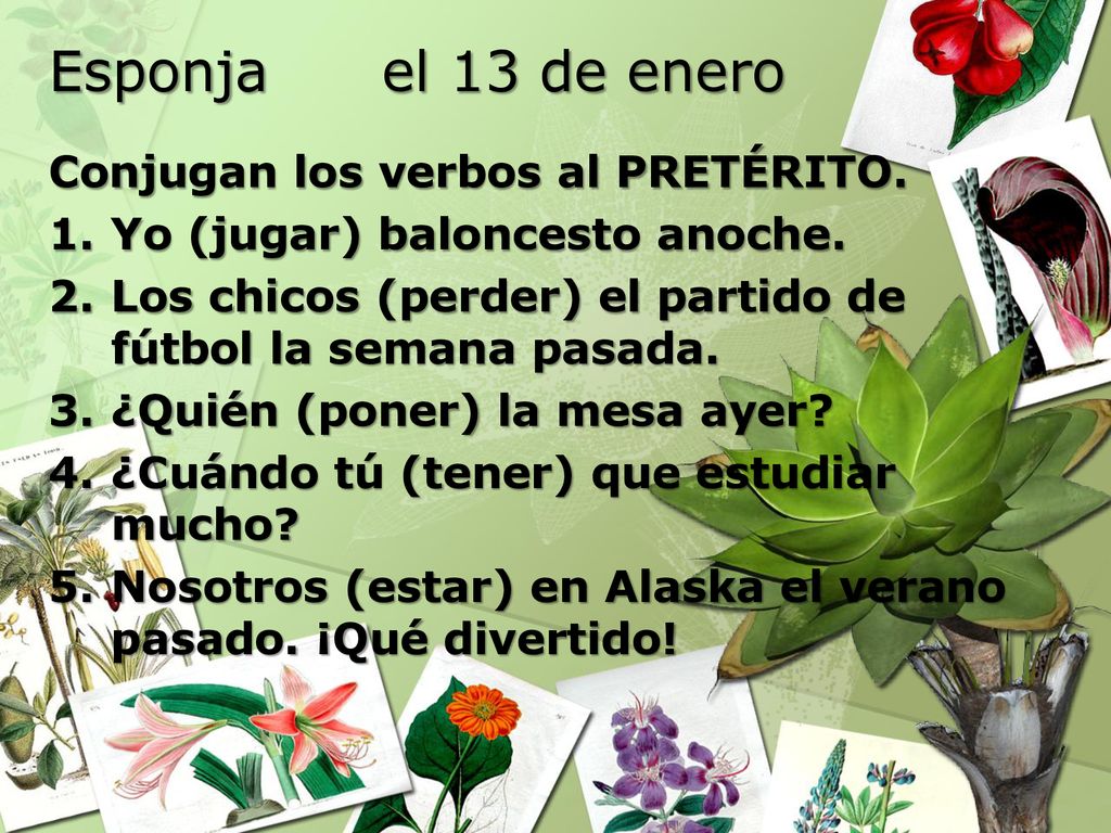 Esponja el 13 de enero Conjugan los verbos al PRETÉRITO.