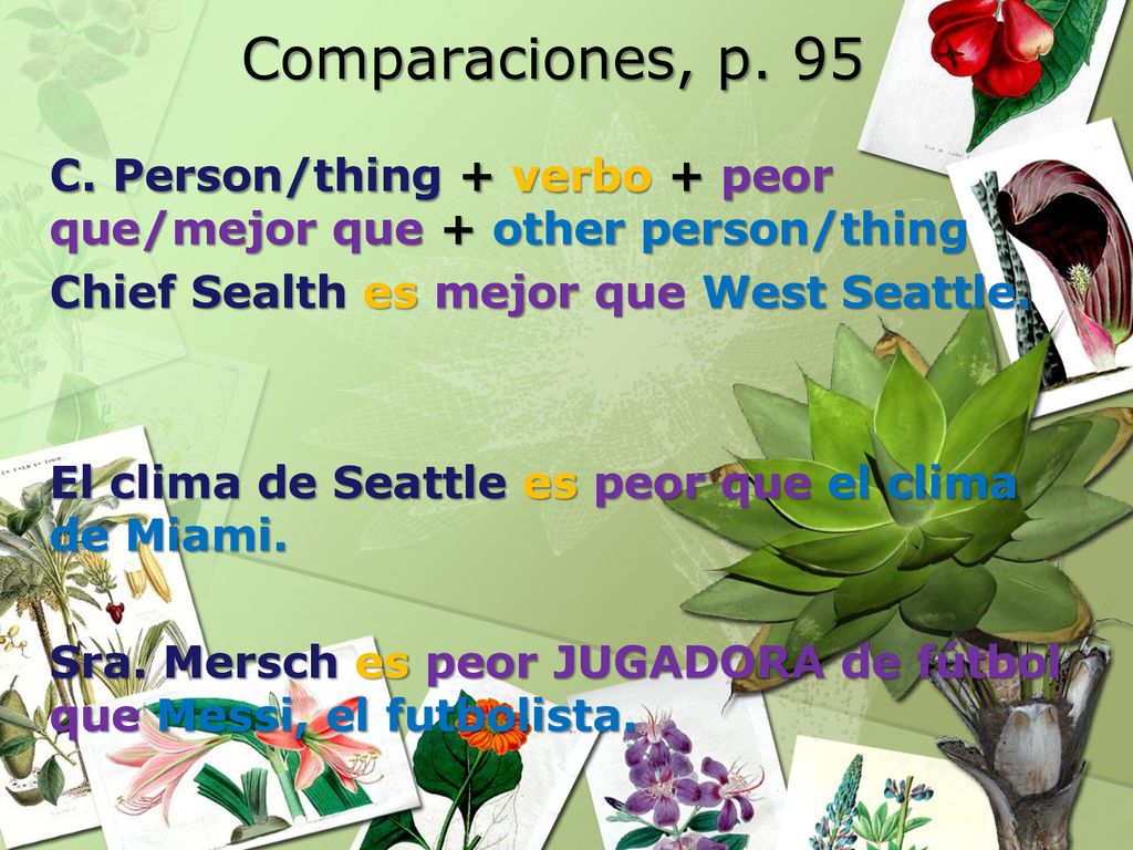 Comparaciones, p. 95 C. Person/thing + verbo + peor que/mejor que + other person/thing. Chief Sealth es mejor que West Seattle.