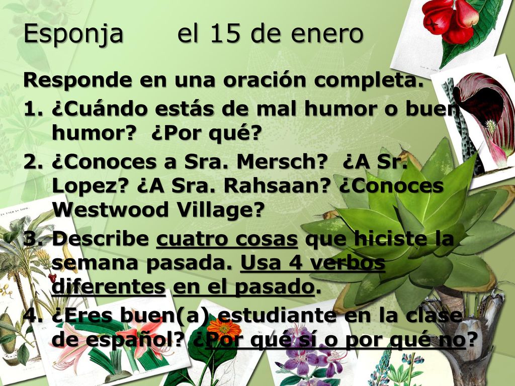 Esponja el 15 de enero Responde en una oración completa.