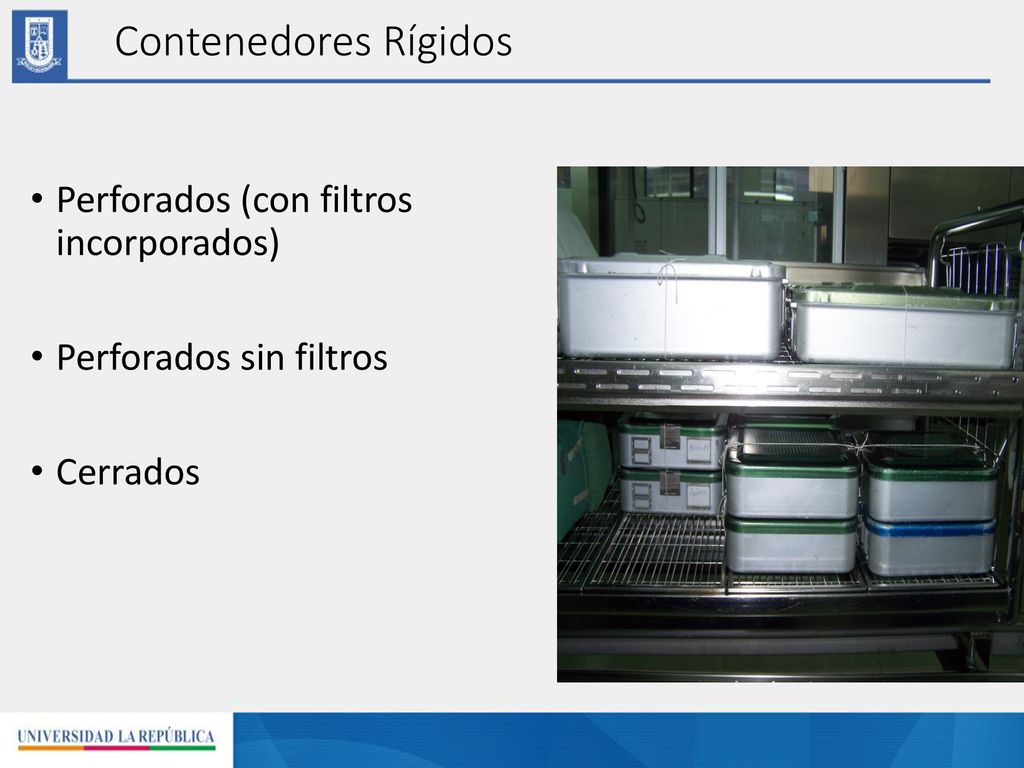 Contenedores Rígidos Perforados (con filtros incorporados)