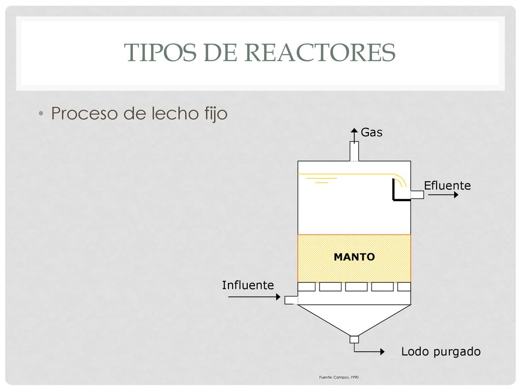 Tipos de reactores Proceso de lecho fijo Gas Efluente Influente