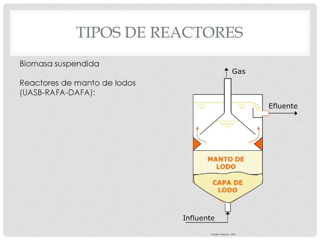 Tipos de reactores Biomasa suspendida Reactores de manto de lodos