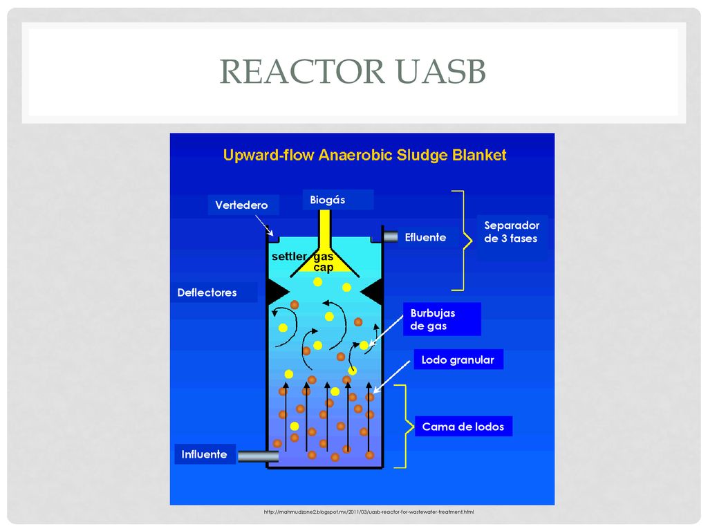 Reactor uasb Biogás Vertedero Separador de 3 fases Efluente