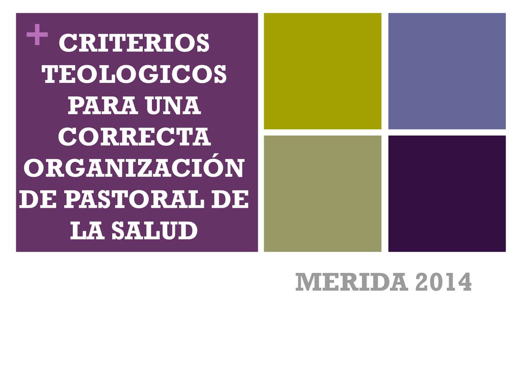CRITERIOS TEOLOGICOS PARA UNA CORRECTA ORGANIZACIÓN DE PASTORAL DE LA SALUD