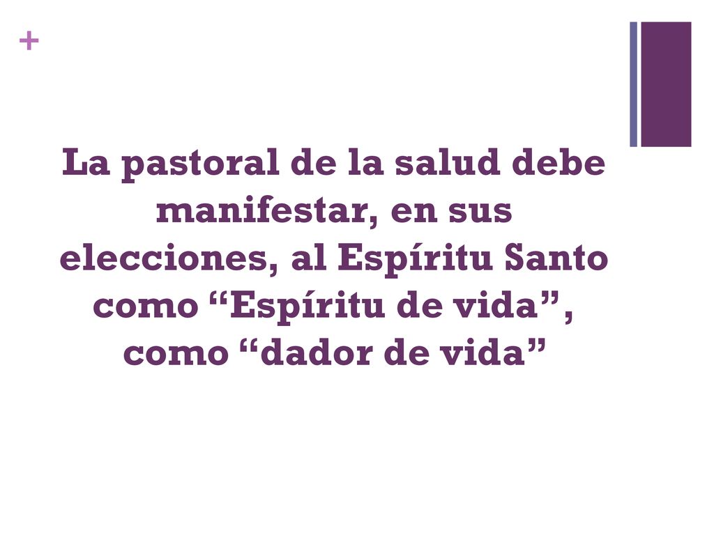 La pastoral de la salud debe manifestar, en sus elecciones, al Espíritu Santo como Espíritu de vida , como dador de vida