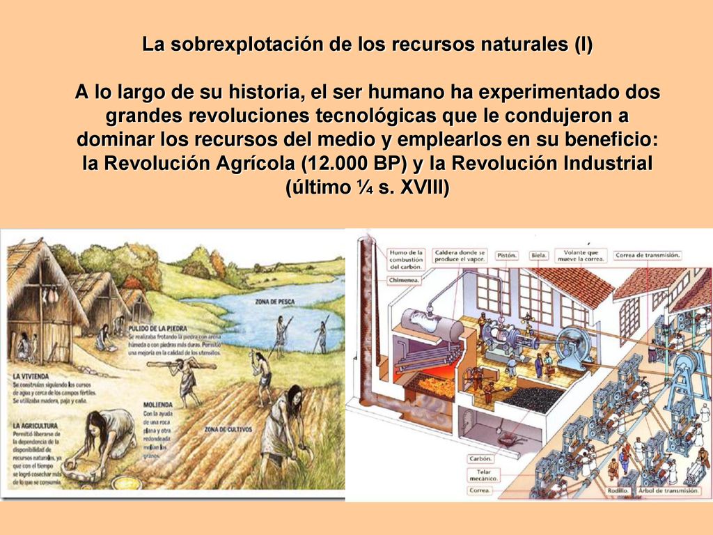 La sobrexplotación de los recursos naturales (I) A lo largo de su historia, el ser humano ha experimentado dos grandes revoluciones tecnológicas que le condujeron a dominar los recursos del medio y emplearlos en su beneficio: la Revolución Agrícola ( BP) y la Revolución Industrial (último ¼ s.