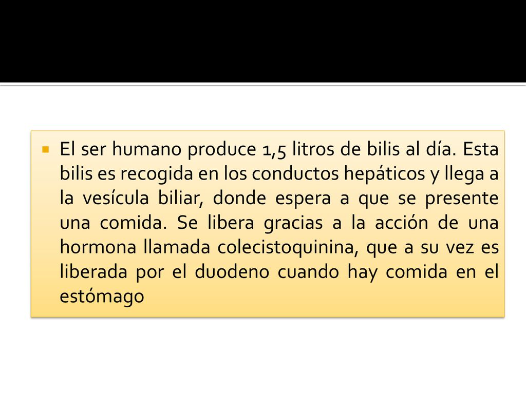 El ser humano produce 1,5 litros de bilis al día