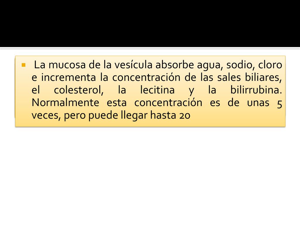 La mucosa de la vesícula absorbe agua, sodio, cloro e incrementa la concentración de las sales biliares, el colesterol, la lecitina y la bilirrubina. Normalmente esta concentración es de unas 5 veces, pero puede llegar hasta 20