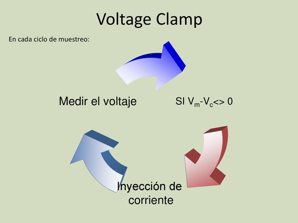 Voltage Clamp En cada ciclo de muestreo: