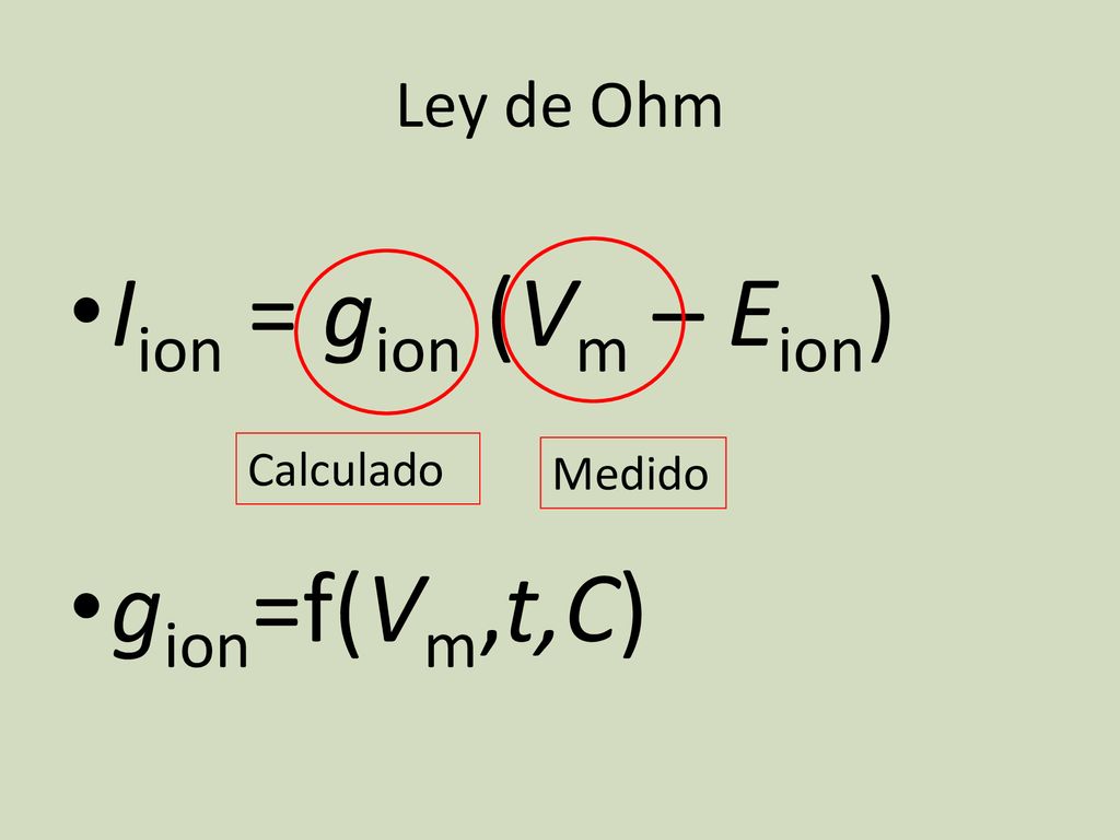 Ley de Ohm Iion = gion (Vm – Eion) gion=f(Vm,t,C) Medido Calculado