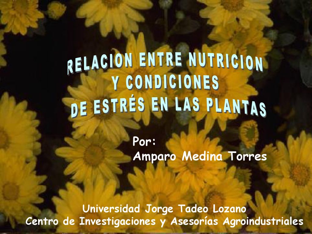 RELACION ENTRE NUTRICION Y CONDICIONES DE ESTRÉS EN LAS PLANTAS