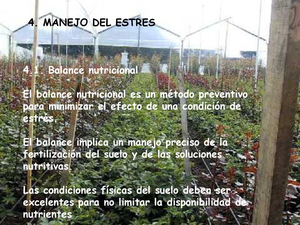 4. MANEJO DEL ESTRES 4.1. Balance nutricional. El balance nutricional es un método preventivo para minimizar el efecto de una condición de estrés.