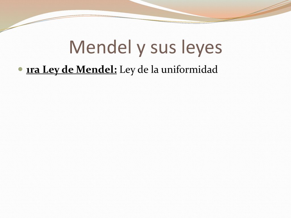 Mendel y sus leyes 1ra Ley de Mendel: Ley de la uniformidad