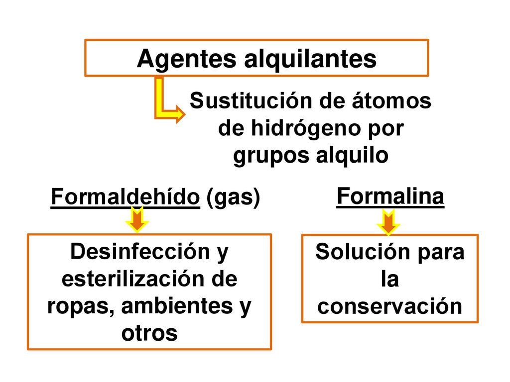 Agentes alquilantes Sustitución de átomos de hidrógeno por grupos alquilo. Formaldehído (gas)