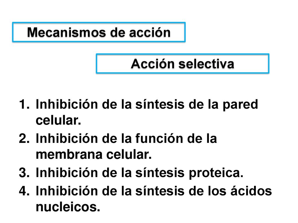 Mecanismos de acción Acción selectiva. Inhibición de la síntesis de la pared celular. Inhibición de la función de la membrana celular.