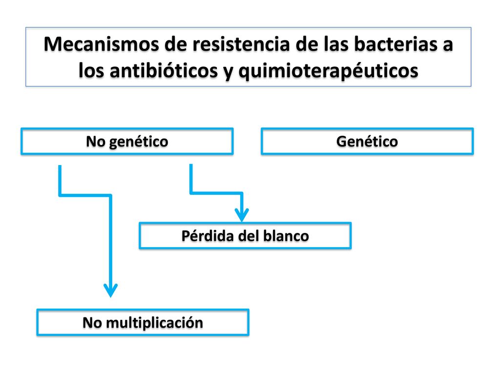 Mecanismos de resistencia de las bacterias a los antibióticos y quimioterapéuticos