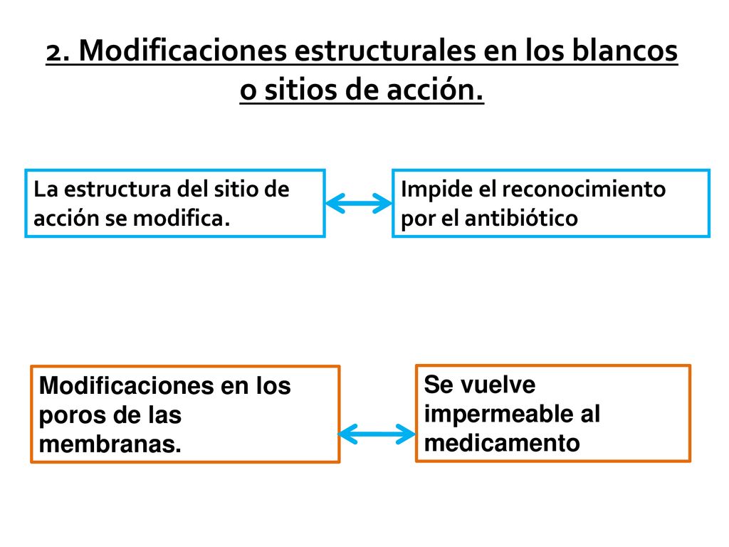 2. Modificaciones estructurales en los blancos o sitios de acción.