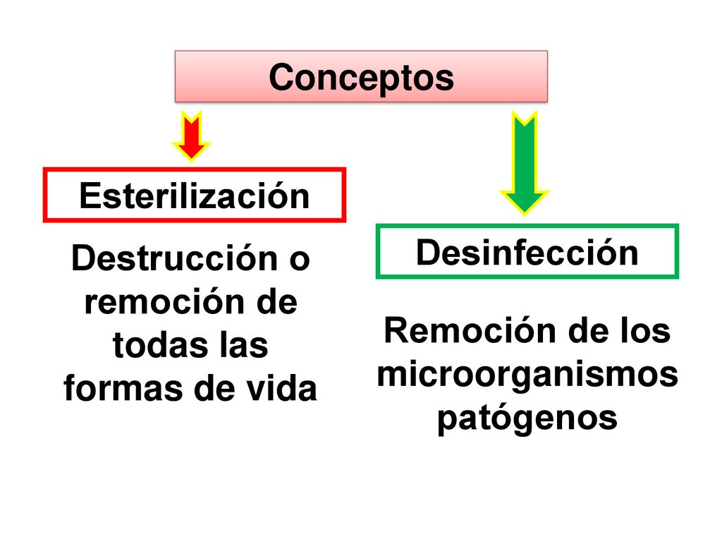 Destrucción o remoción de todas las formas de vida Desinfección