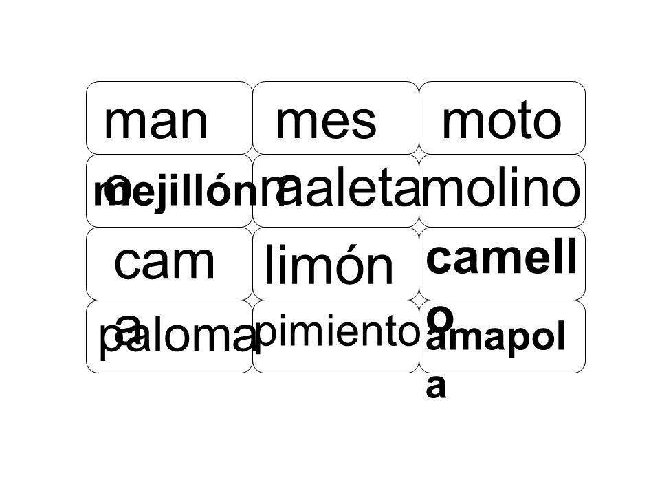 mano mesa moto maleta molino cama limón camello paloma mejillón