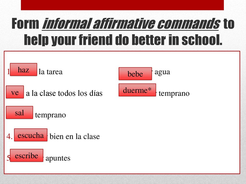 Form informal affirmative commands to help your friend do better in school.